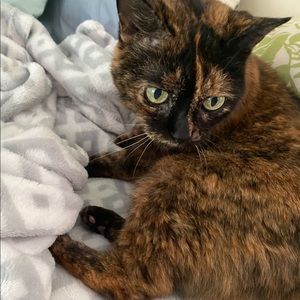 Meet your Posher, Sylvia